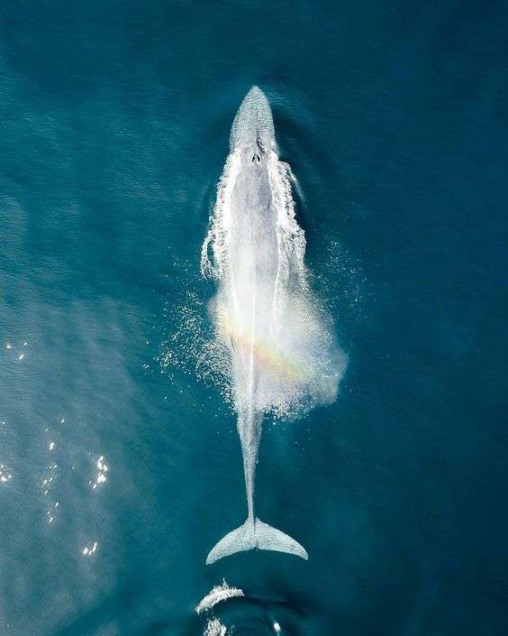 25396db97d5b63e2d5cf0689d998506d (1)