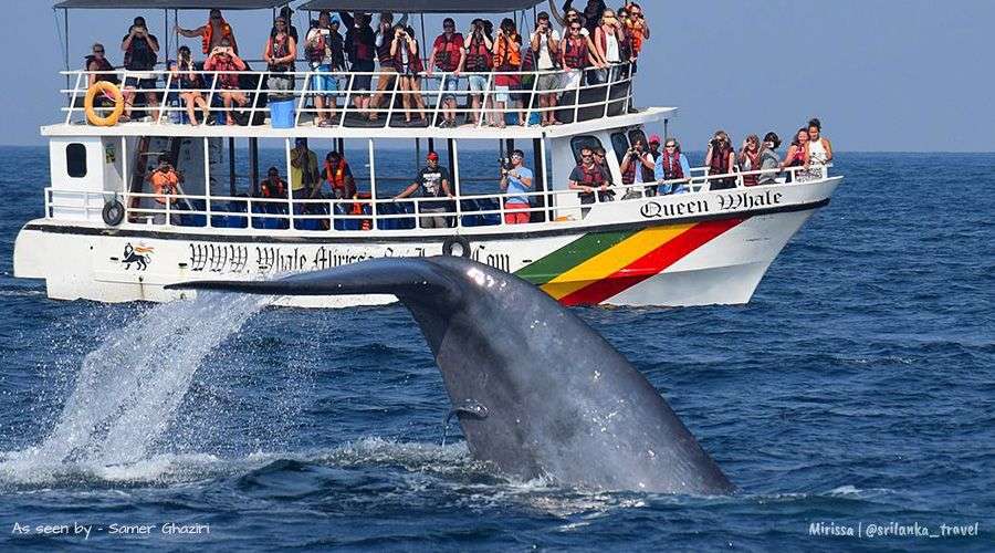 75ced16545f04cb6c68c451eae3f10f8