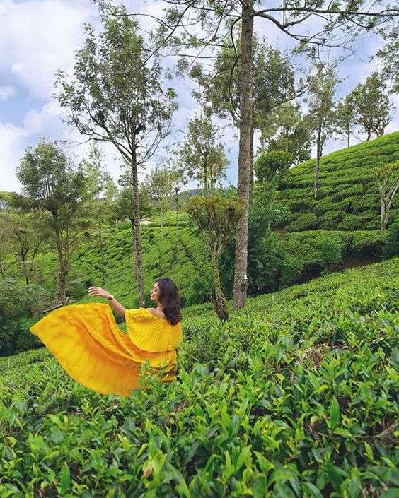 77bd5e02929a40b2699c726ec6df94be