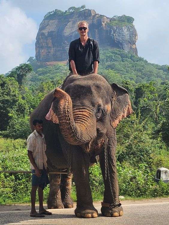 861c27c1779223a5ca413a8c28114cd5