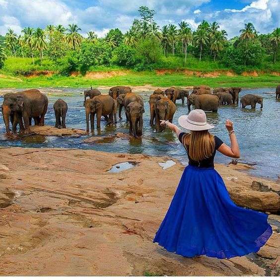 c4af6532a92a31fb5eb7f4e4f5fce5c8