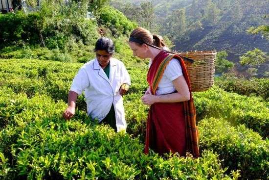 d250800311ef782f0fde21ad85c7633c (1)